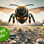 Bees Can Detect Explosives