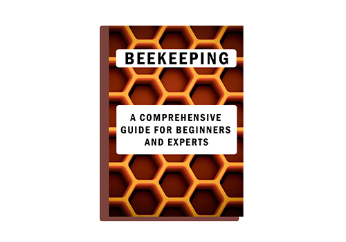 Introduction to Beekeeping