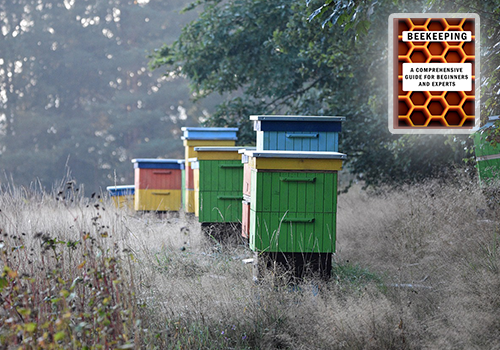 Expanding Your Apiary