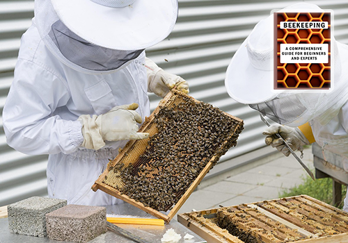 Getting Started in Beekeeping