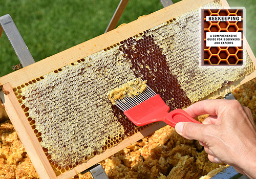 Harvesting Honey and Other Products