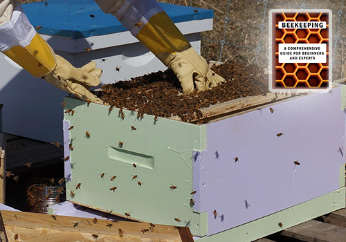 Managing the Hive