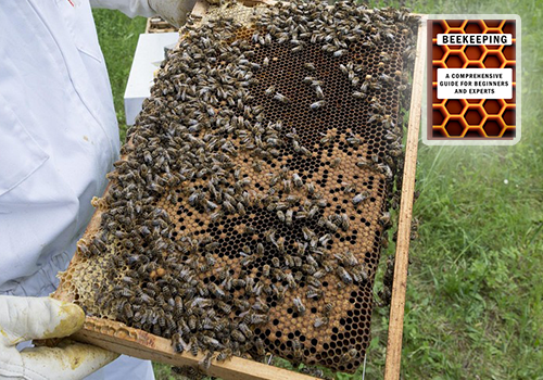 Pests, Diseases, and Treatment