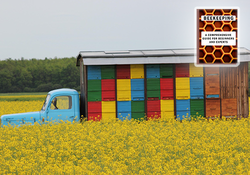 Sustainable Beekeeping Practices