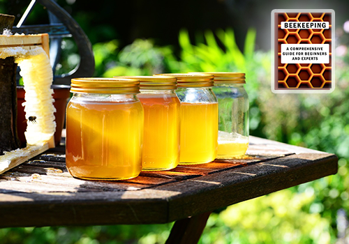 The Business of Beekeeping